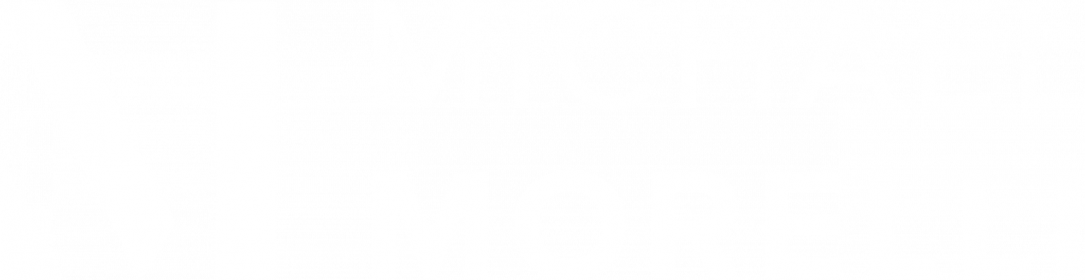 Michael Morelli Store